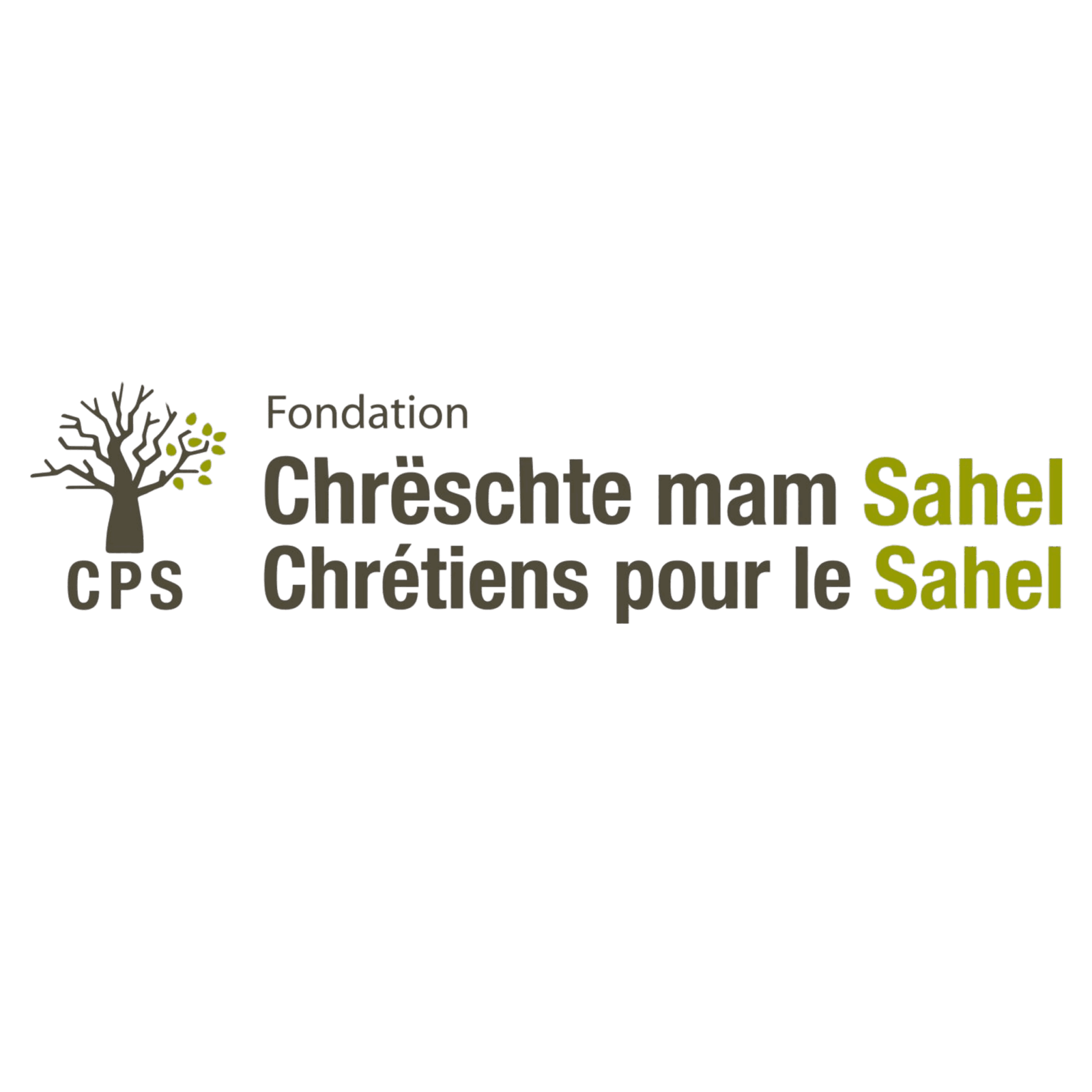 Logo Fondation Chrétiens pour le Sahel