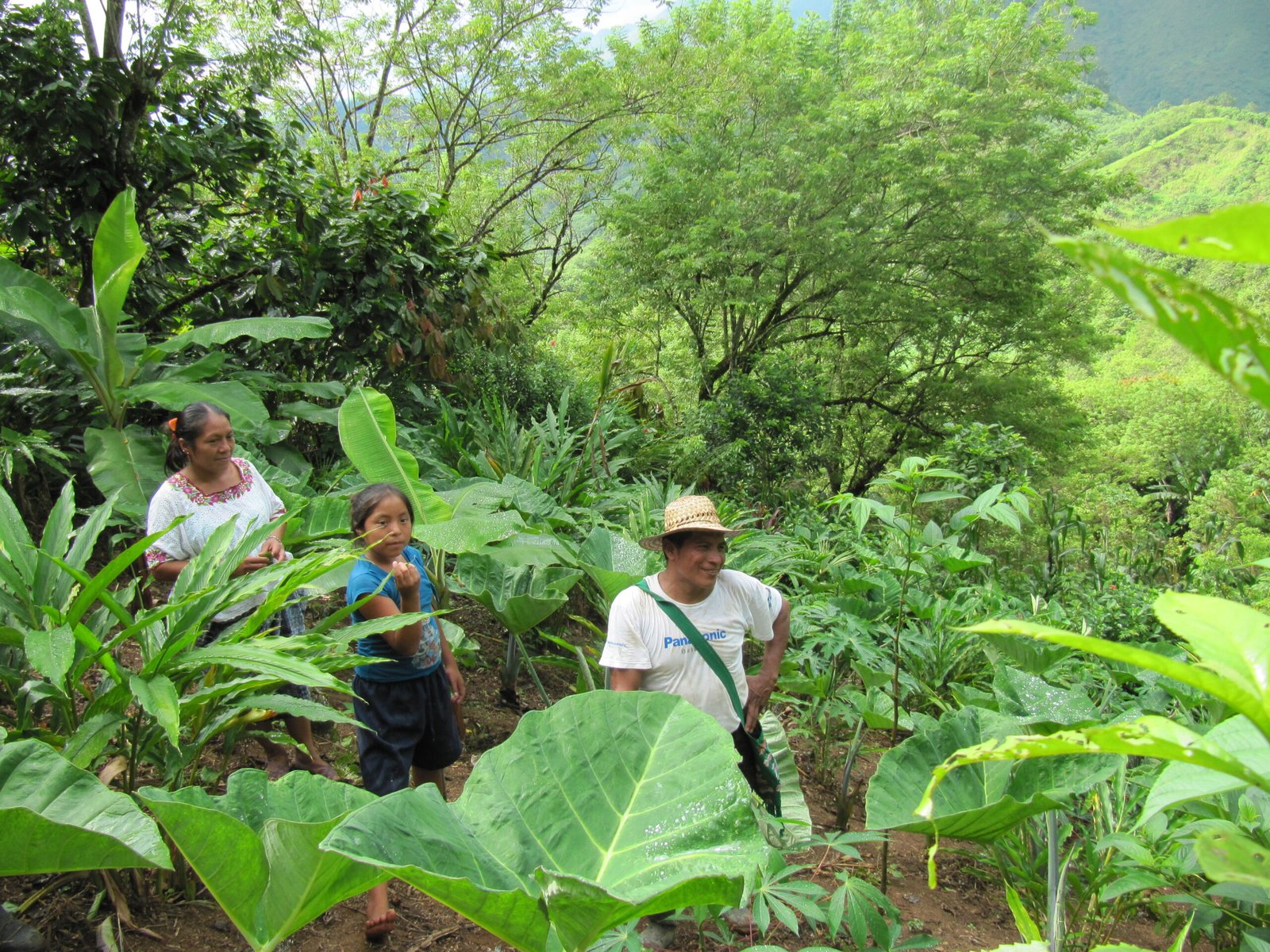 IMG_8512 Projet Guatemala Partage Luxembourg