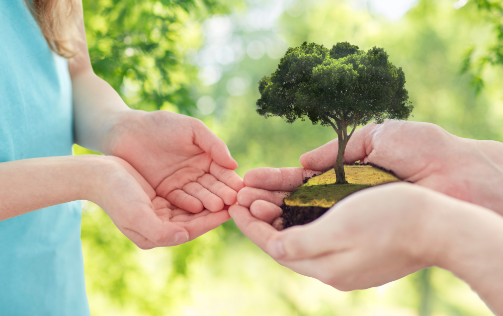 Donations_arbres