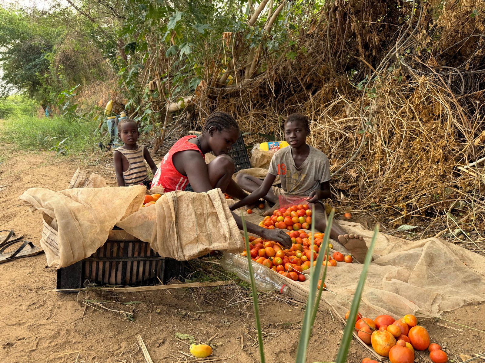 Fondation partage - Kenya